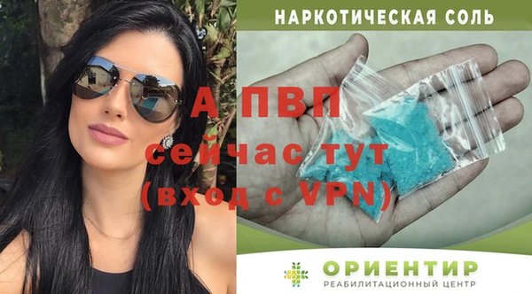 спиды Аркадак