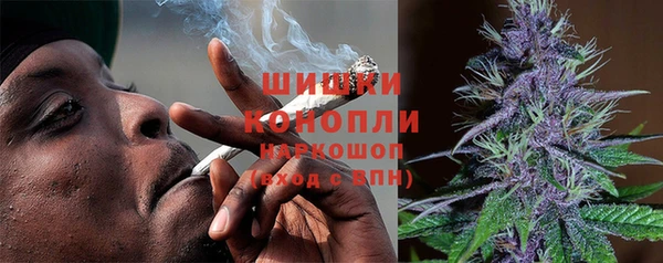 шишки Лагань