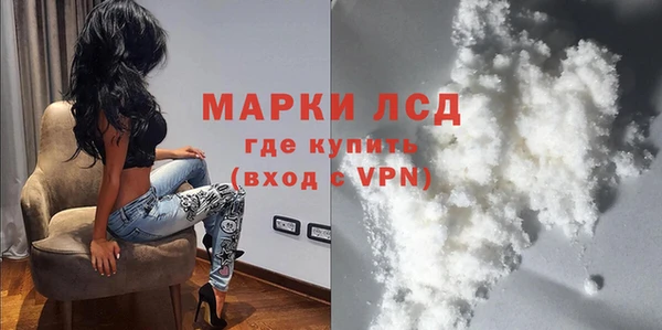 спиды Аркадак