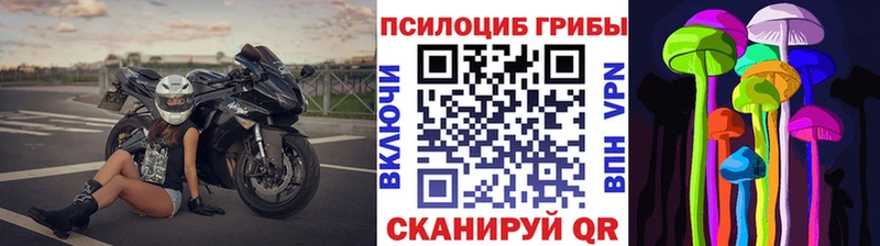 Галлюциногенные грибы Psilocybe  нарко площадка какой сайт  Медногорск  наркошоп 